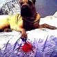 nala ya tiene 8 meses!